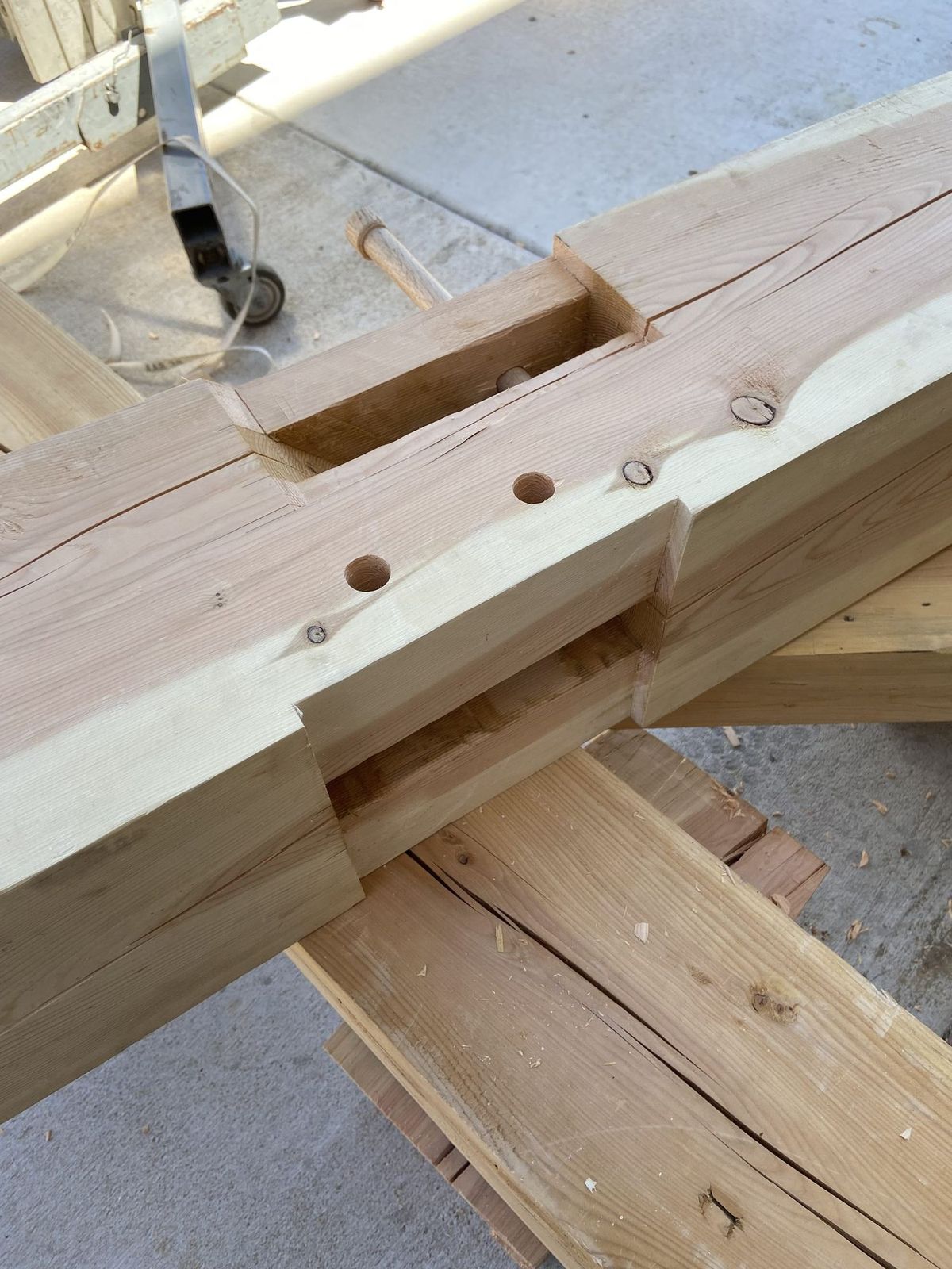 Close view of a drawbored oak peg set in a mortise and tenon joint on a Douglas Fir timber