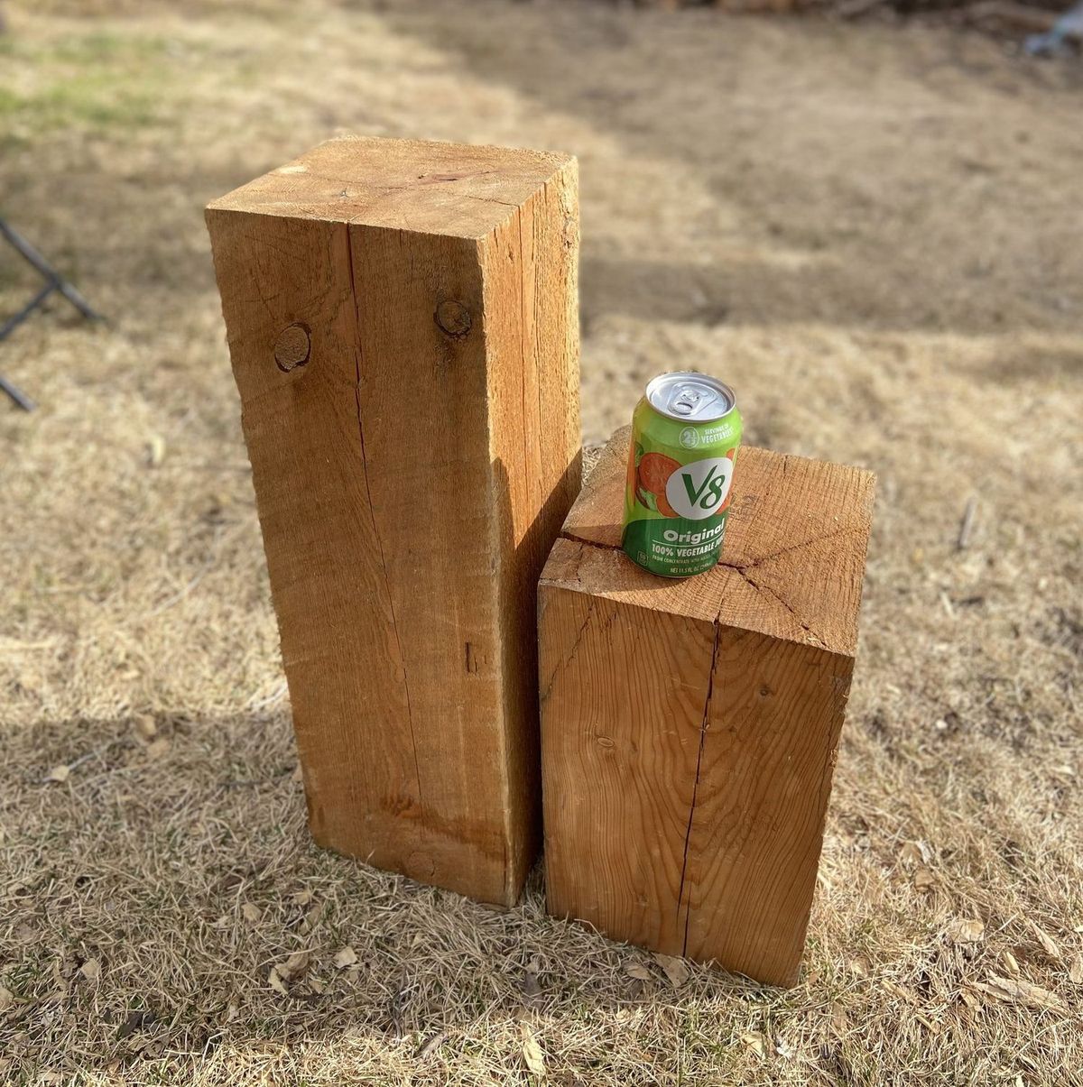 A V8 juice can standing on a timber block beside an 8x8 Douglas Fir post to show scale