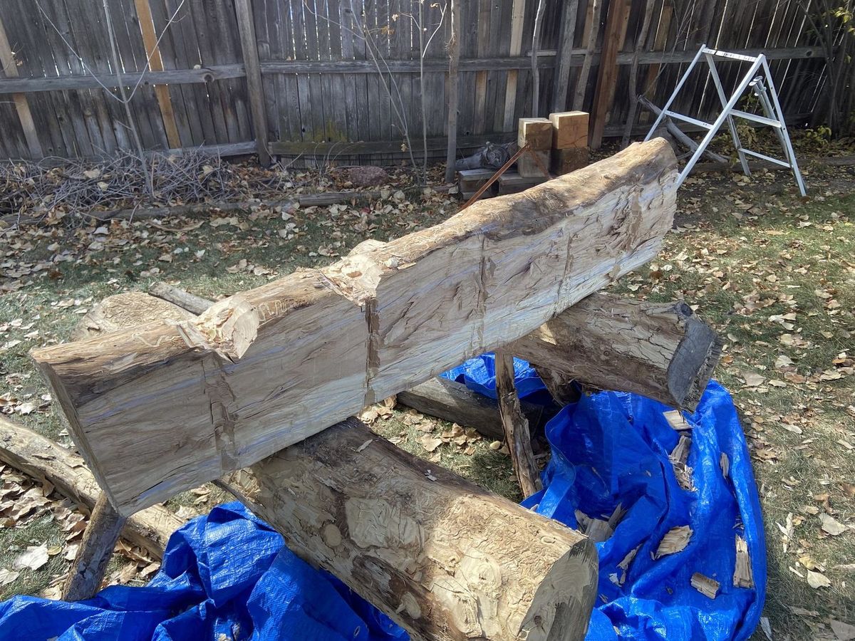 A log on sawhorses in a backyard, partly hewn flat on one side