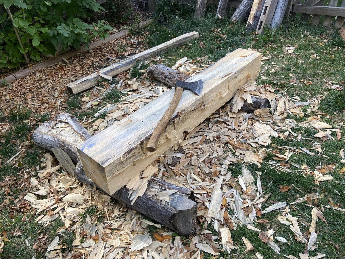 A broadaxe lodged in the face of a timber being hewn, with chips scattered on the ground